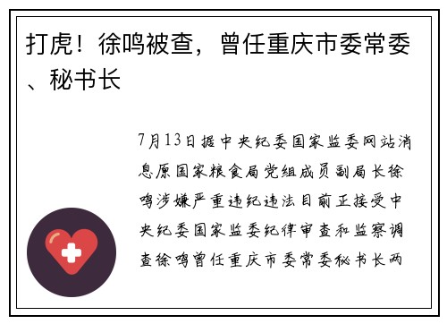 打虎！徐鸣被查，曾任重庆市委常委、秘书长